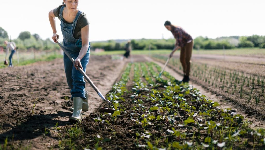 Cas client  Quelles sont les préférences des citoyens en matière d